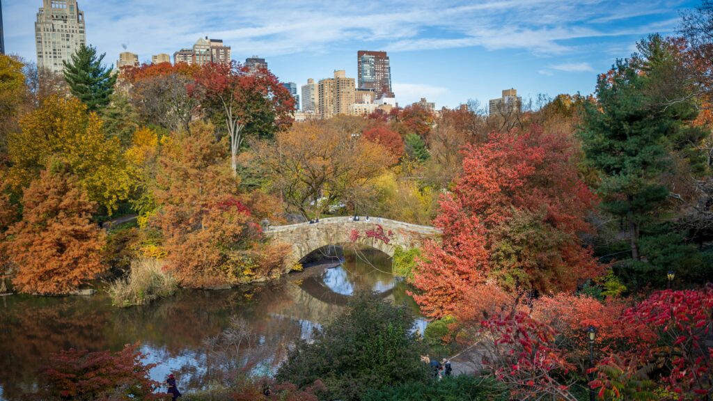 Fall colors in Central Park in NYC