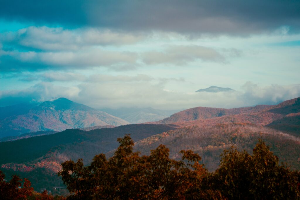 Fall color in Great Smoky Mountains National Park. Photo by Sean Foster.