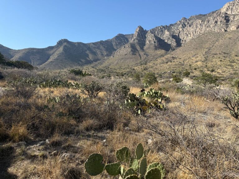 Beautiful desert and mountain scenery!