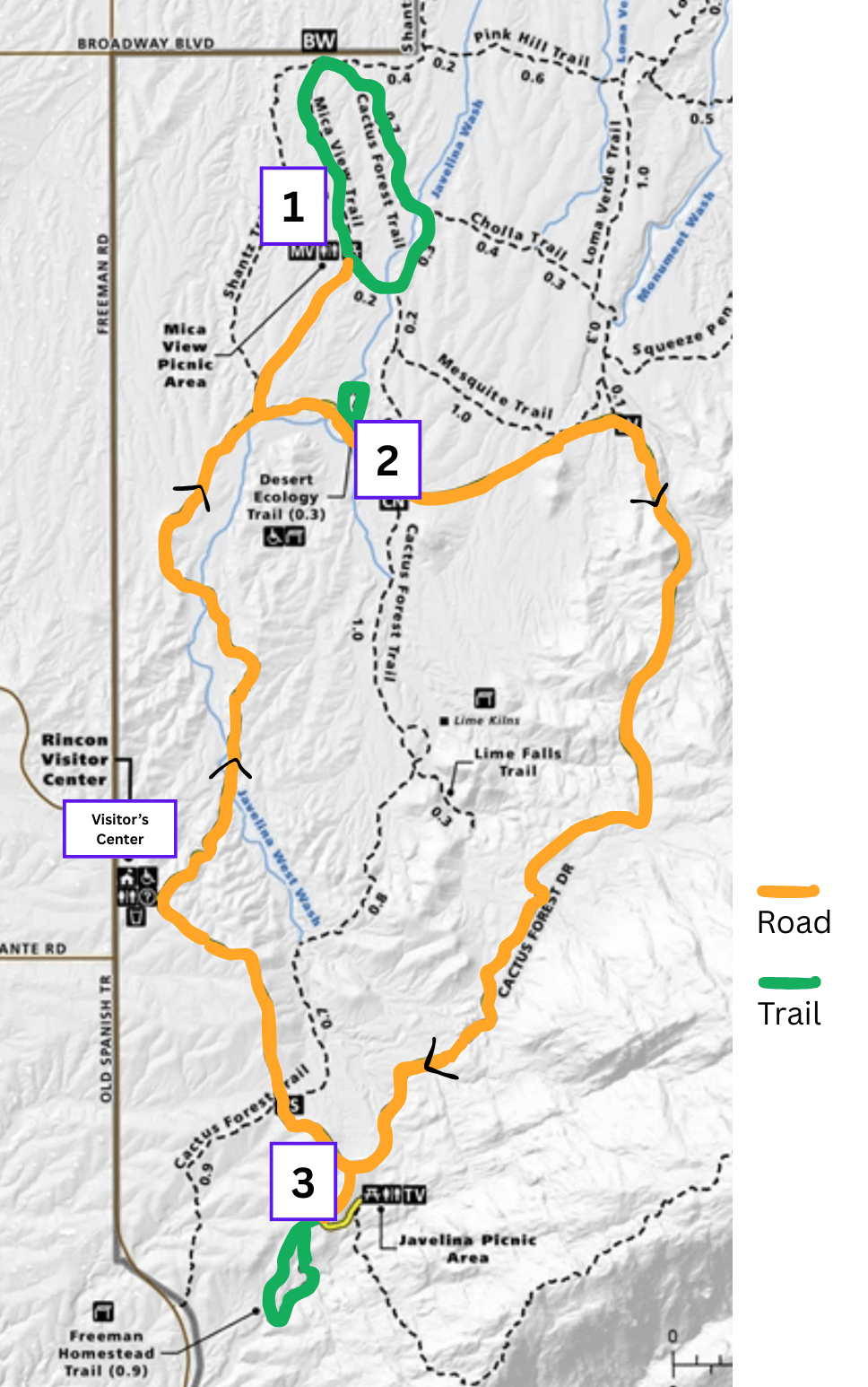 Map of Cactus Loop Drive with family-friendly hikes in Saguaro National Park (East)