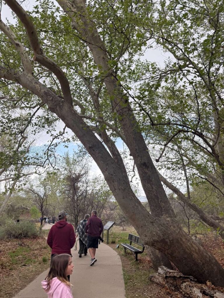 Trail at Montezuma National Monument
