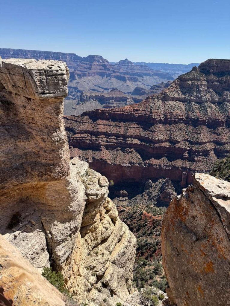 View of Grand Canyon from the rim trail