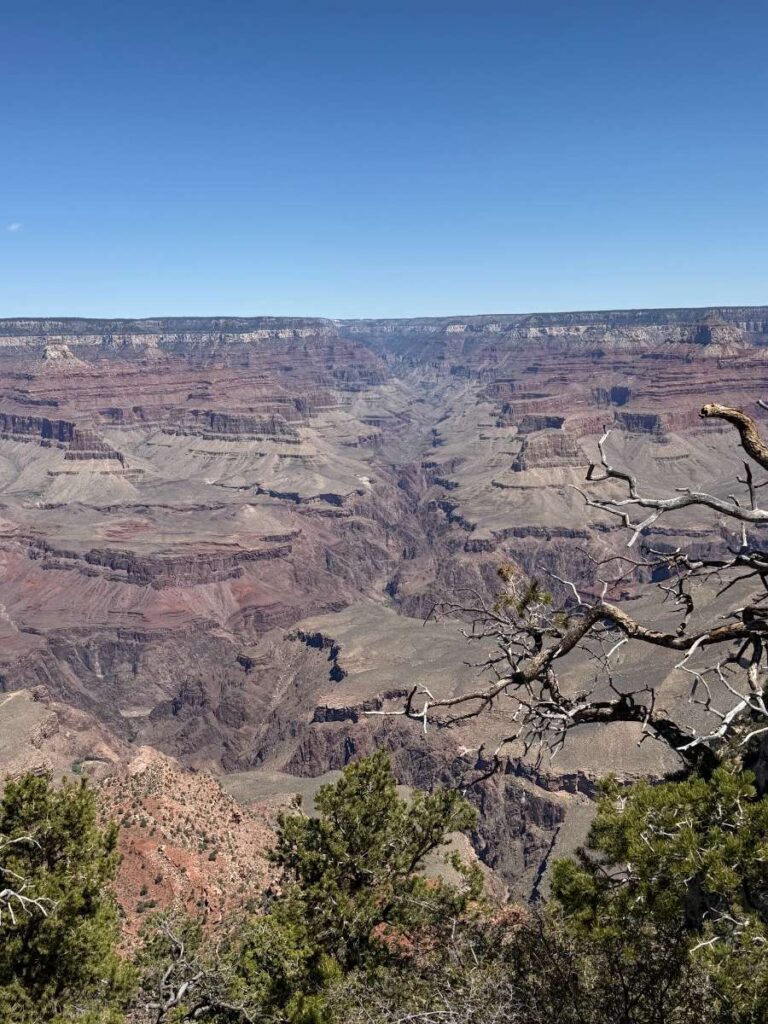 View of Grand Canyon from the rim trail