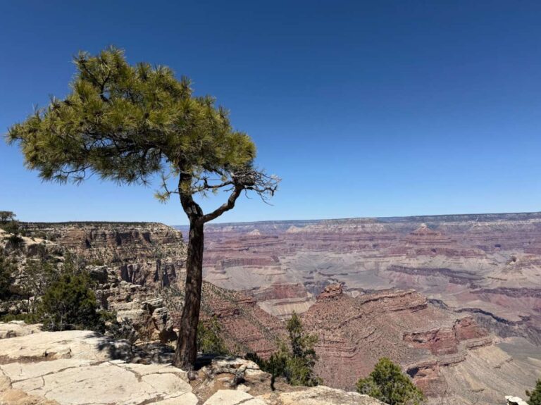 View of Grand Canyon from the rim trail
