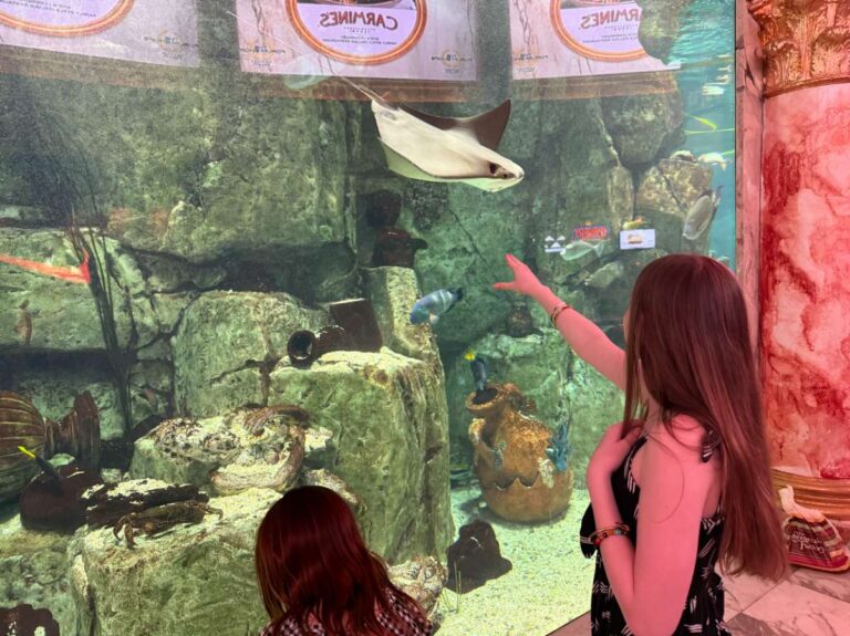 Aquarium at The Forum