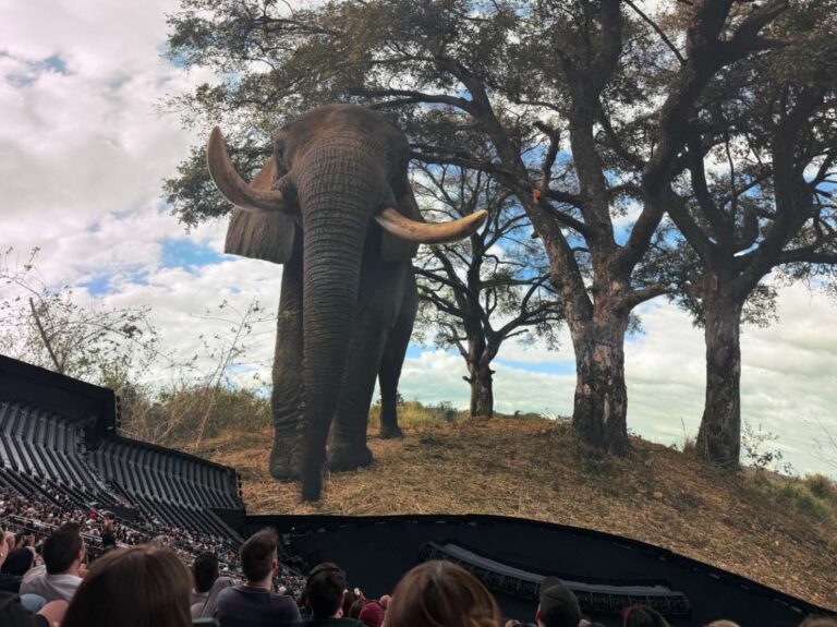 Movie at the Sphere in Las Vegas