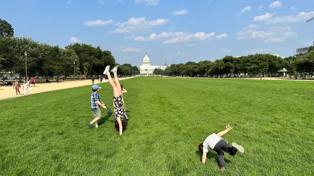 The lawn of the National Mall in Washington, D.C.