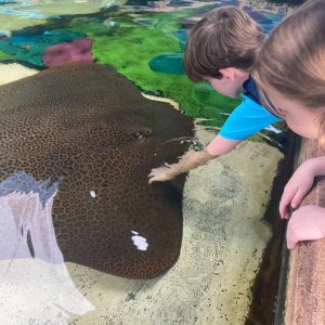 Petting rays at Stingray Lagoon